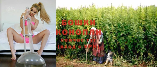 мдпв Волосово